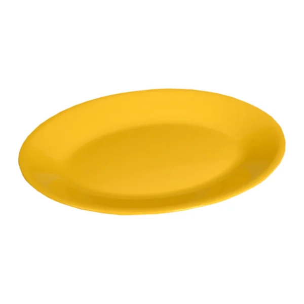 Signoraware Rice Plate - Image 6