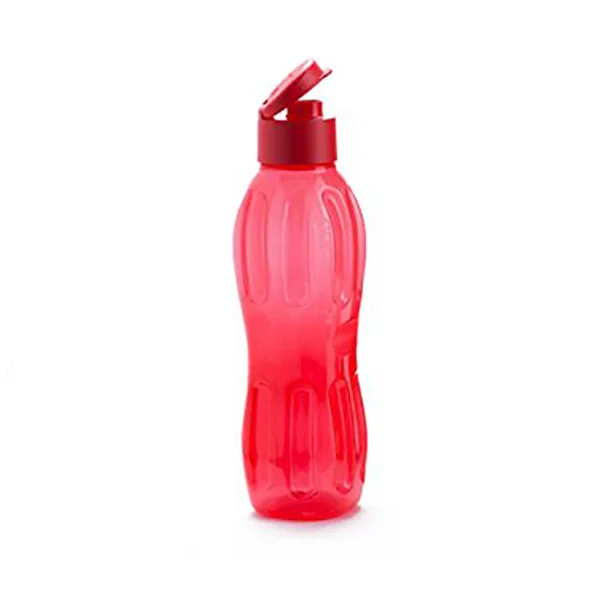 Signoraware Fliptop Aqua Fresh Bottle 500 ml