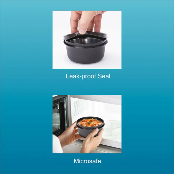 Signoraware Monarch Executive Small Microsafe Steel Lunch Box - Image 8