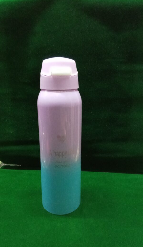 Water bottle (Stainless steel)500 ml Sipper