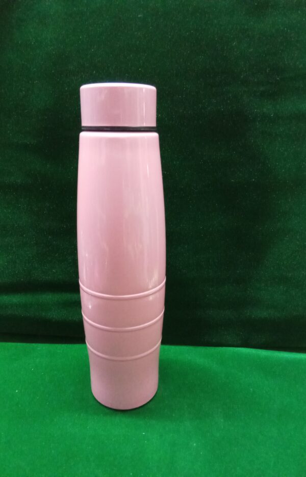 Water bottle (Stainless steel)750 ml