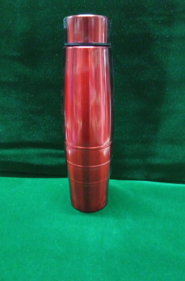Water bottle (Stainless steel)750 ml