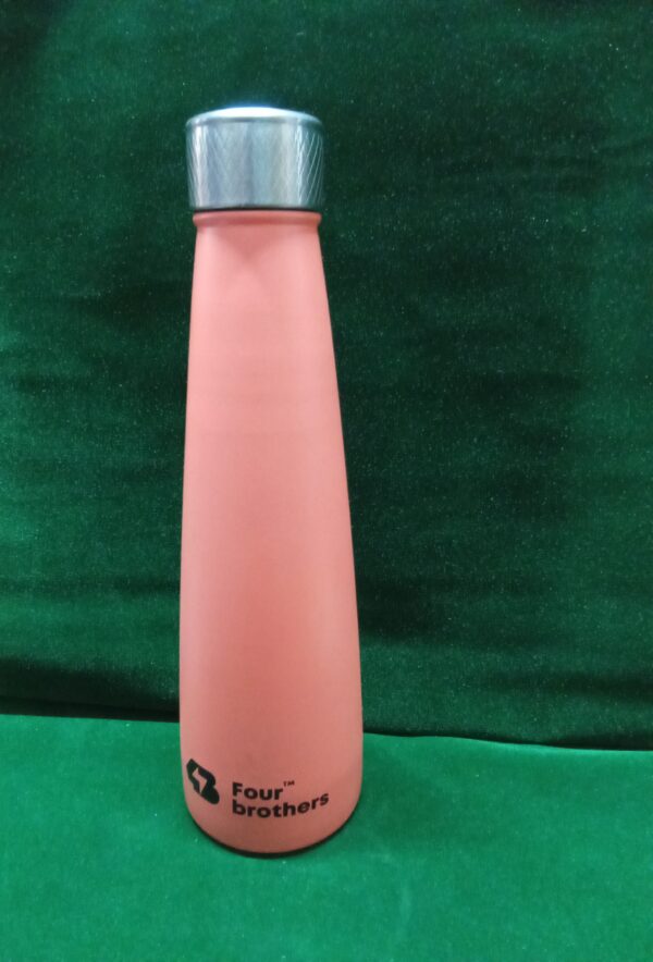 Water bottle (Stainless steel)750 ml