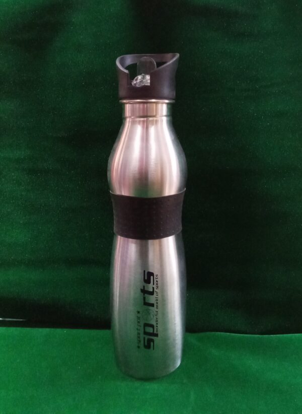 Water bottle (Stainless steel)750 ml