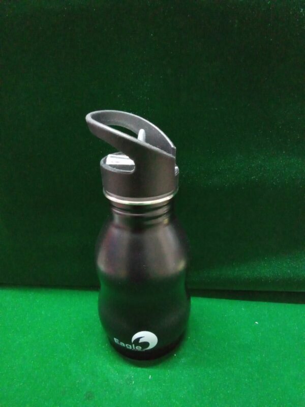Water bottle( Stainless steel) 350 ml
