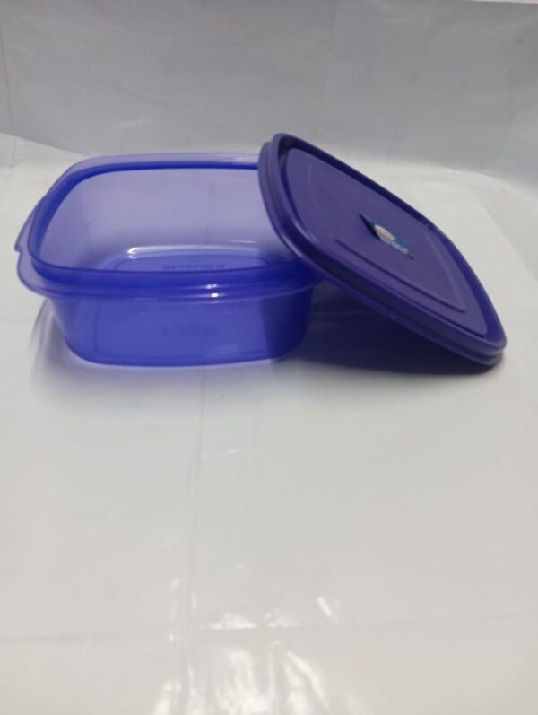 Small Container Purple Plastic Storage Container Box (Purple)