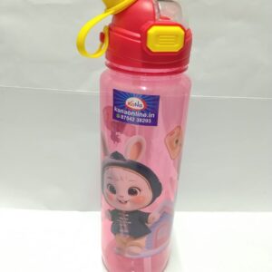 Kids Cartoon 2 in 1 Water Bottle (Flip-Top and Sipper )
